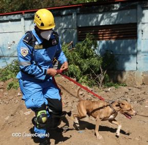 IV Ejercicio Nacional de Preparación para Proteger la Vida ante Situaciones Multiamenazas del año 2025