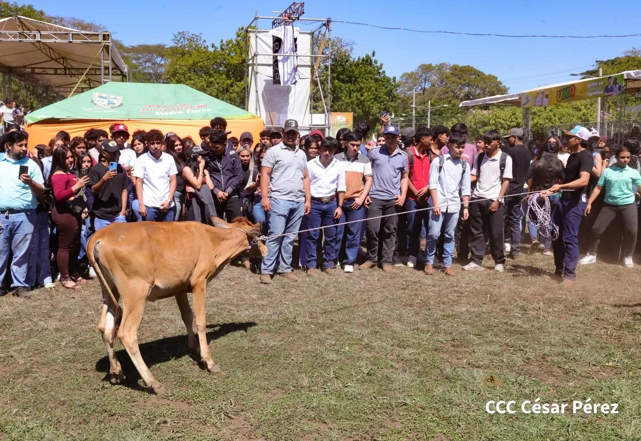 Universidades reciben a estudiantes de nuevo ingreso