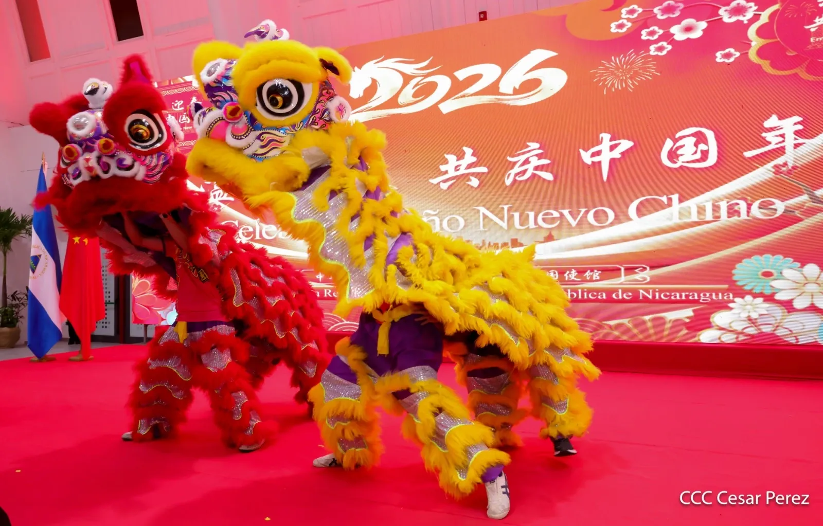 Celebración del Año Nuevo Chino en Nicaragua