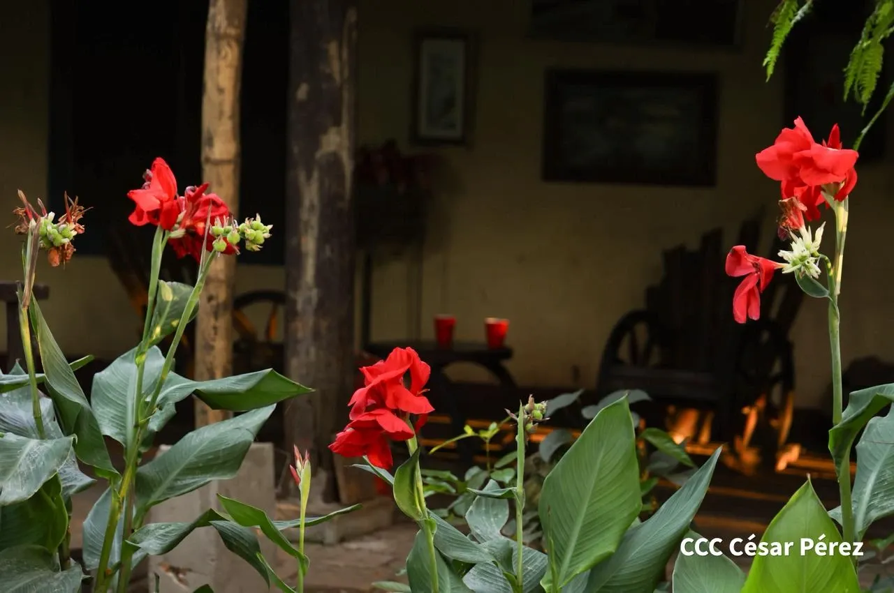 Hacienda Los Malacos en Granada