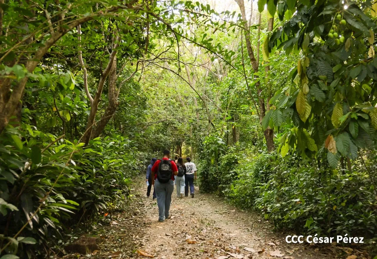 Hacienda Los Malacos en Granada