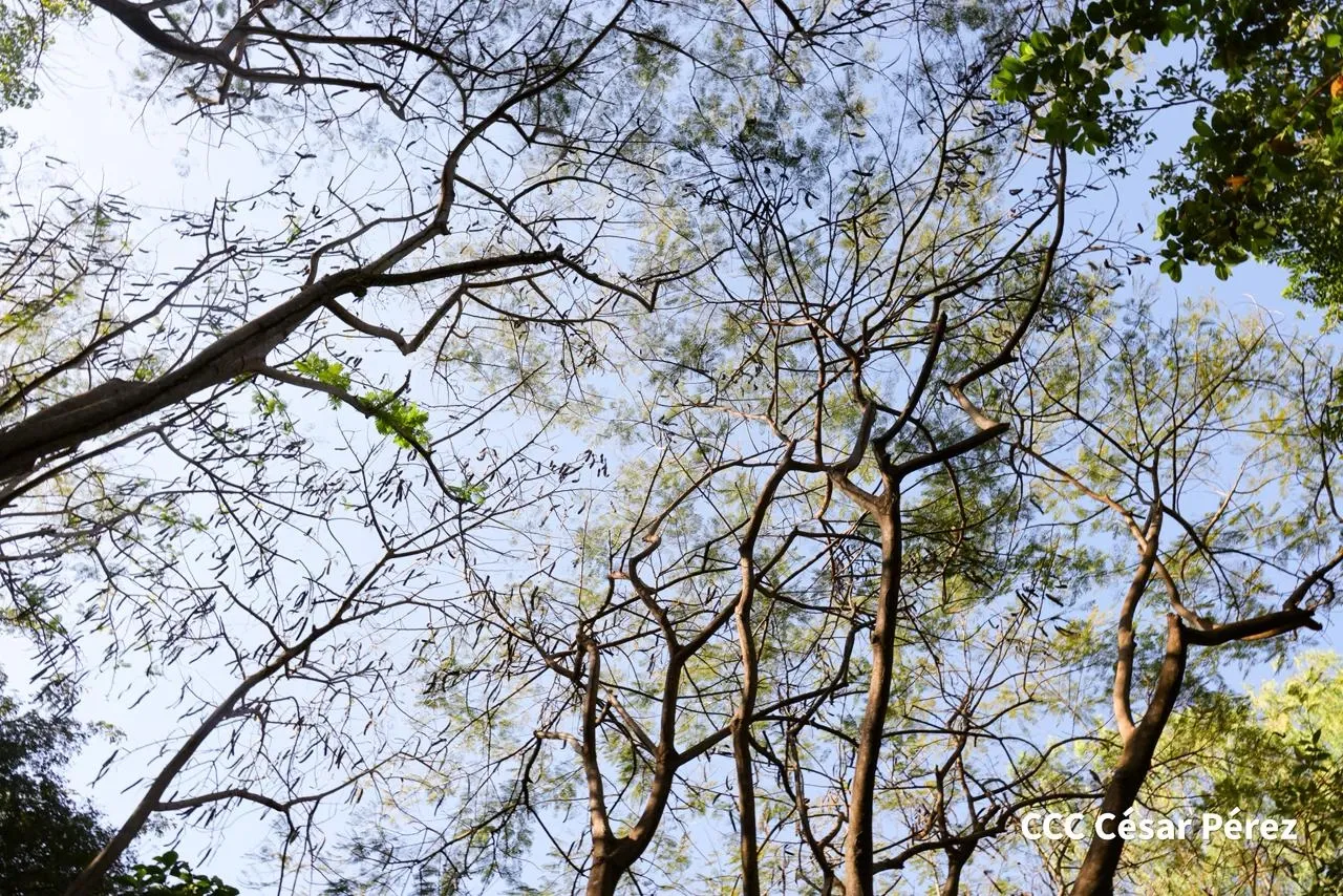 Hacienda Los Malacos en Granada