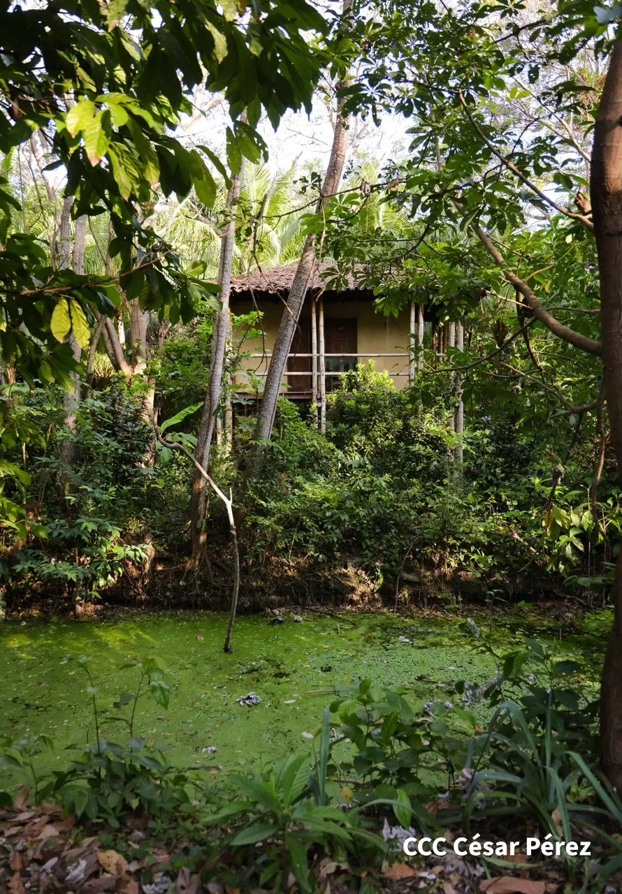 Hacienda Los Malacos en Granada