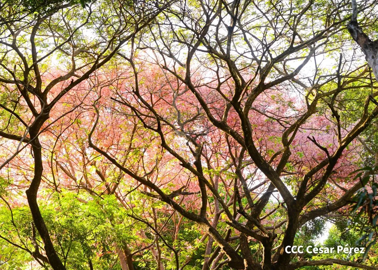 Hacienda Los Malacos en Granada
