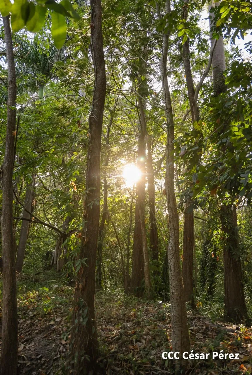 Hacienda Los Malacos en Granada