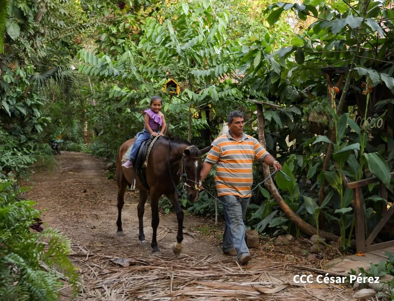 Hacienda Los Malacos en Granada