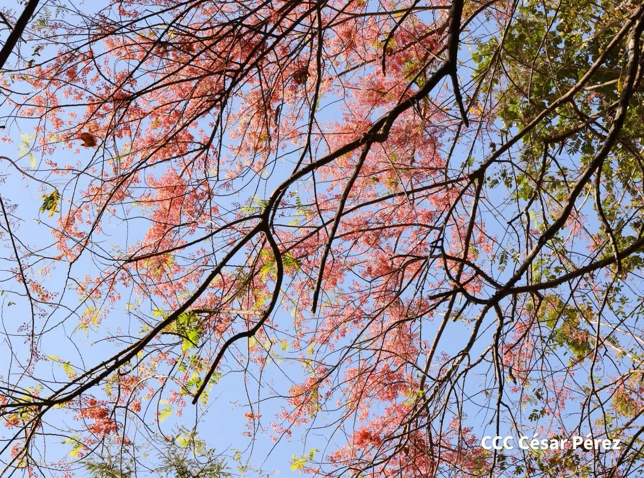 Hacienda Los Malacos en Granada