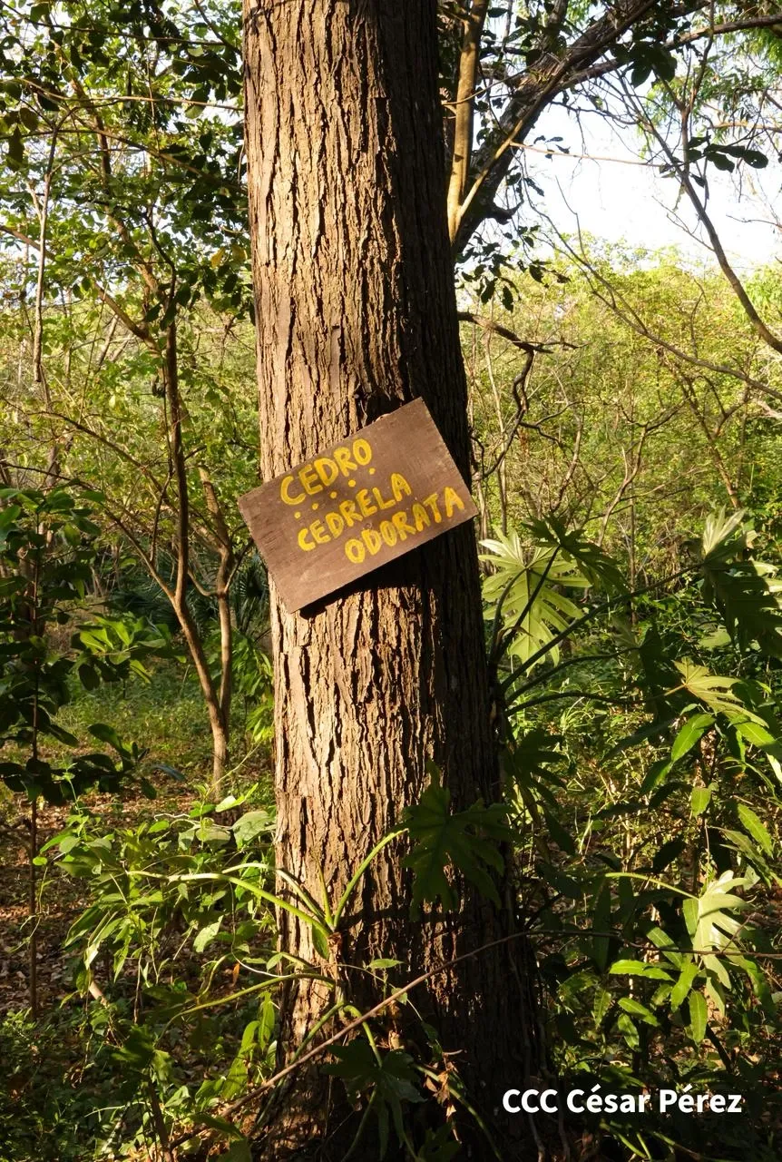 Hacienda Los Malacos en Granada