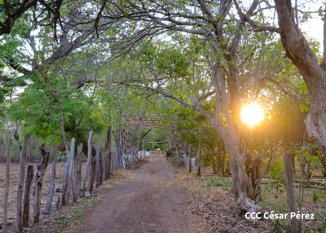Hacienda Los Malacos en Granada