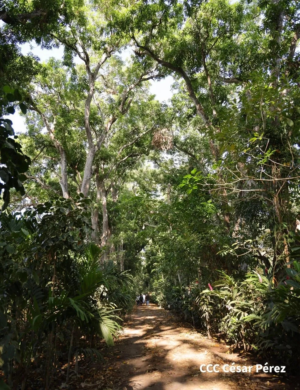 Hacienda Los Malacos en Granada