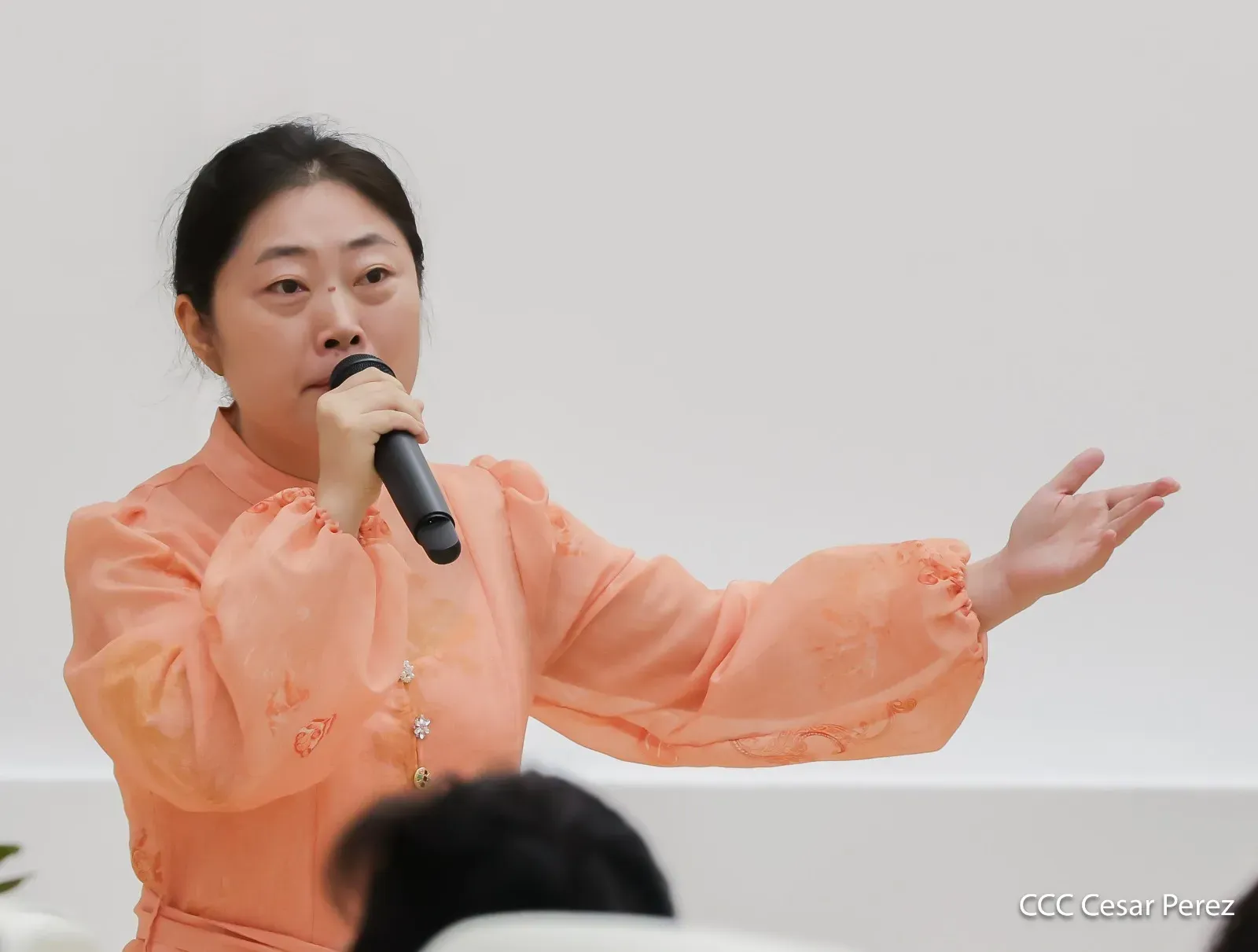 Sesión especial de la Asamblea Nacional: 105.° aniversario del Partido Comunista de China