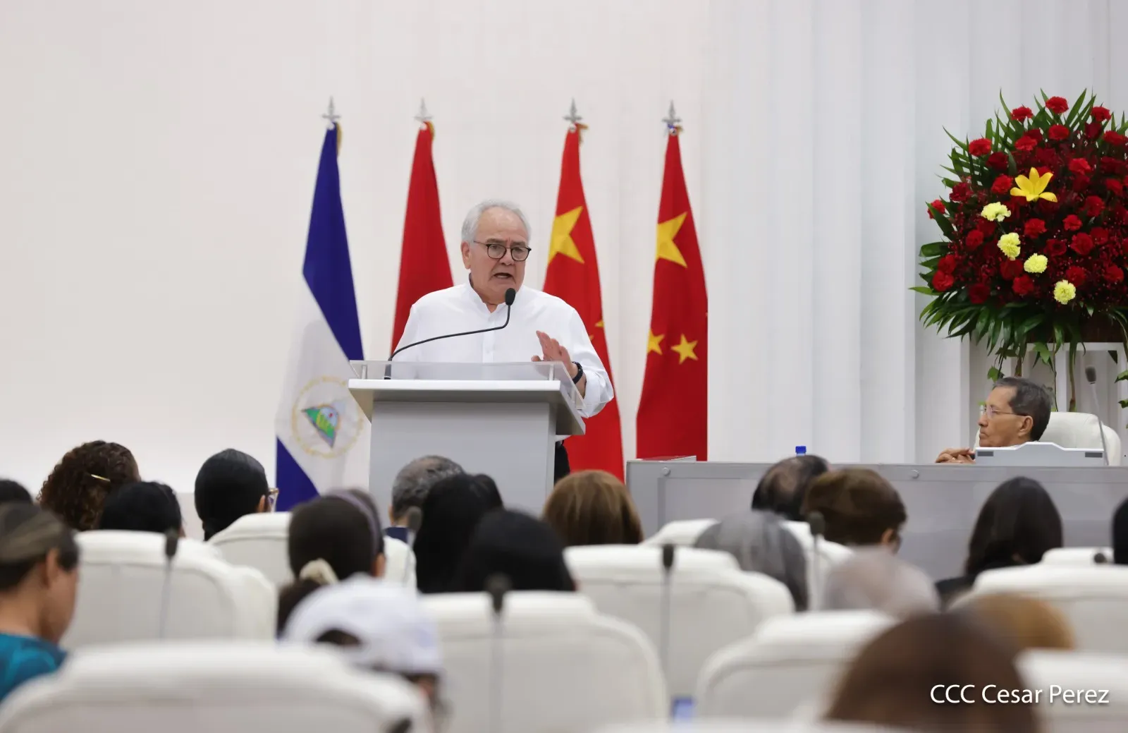 Sesión especial de la Asamblea Nacional: 105.° aniversario del Partido Comunista de China
