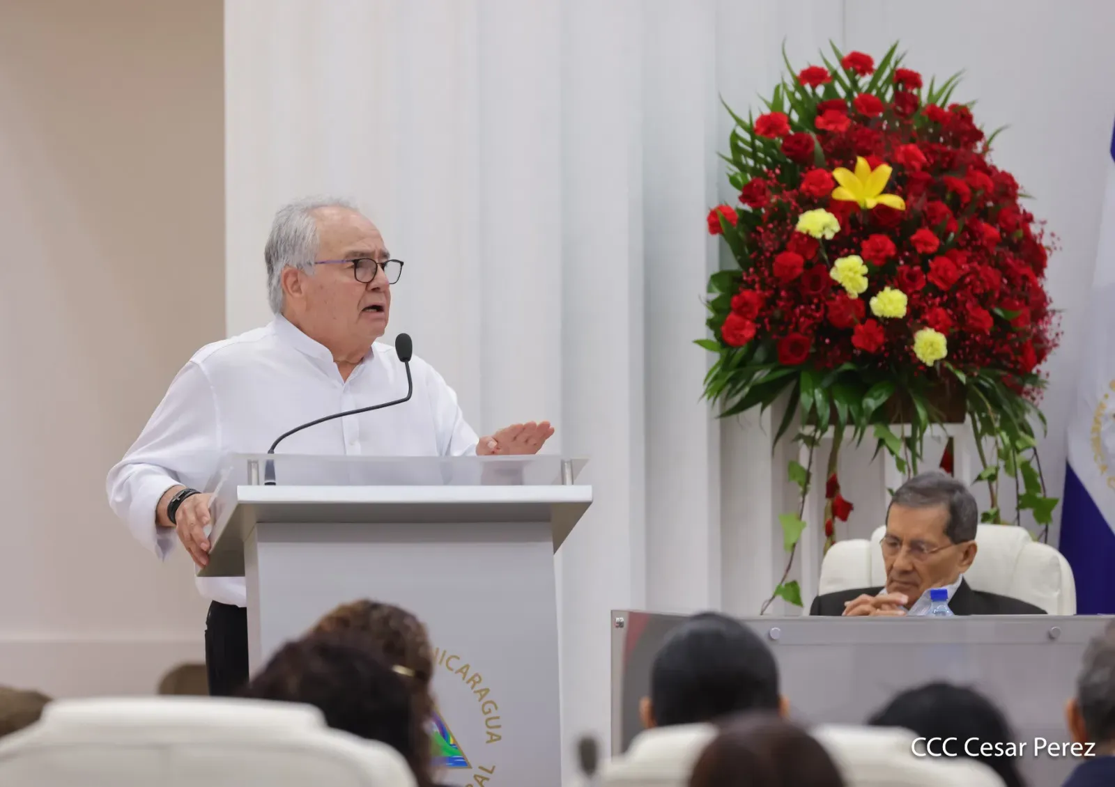 Sesión especial de la Asamblea Nacional: 105.° aniversario del Partido Comunista de China