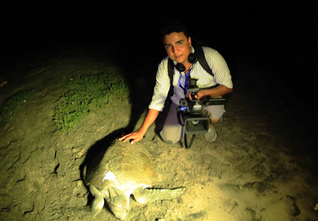 Desove de tortugas en Chacocente, un espectáculo de la naturaleza