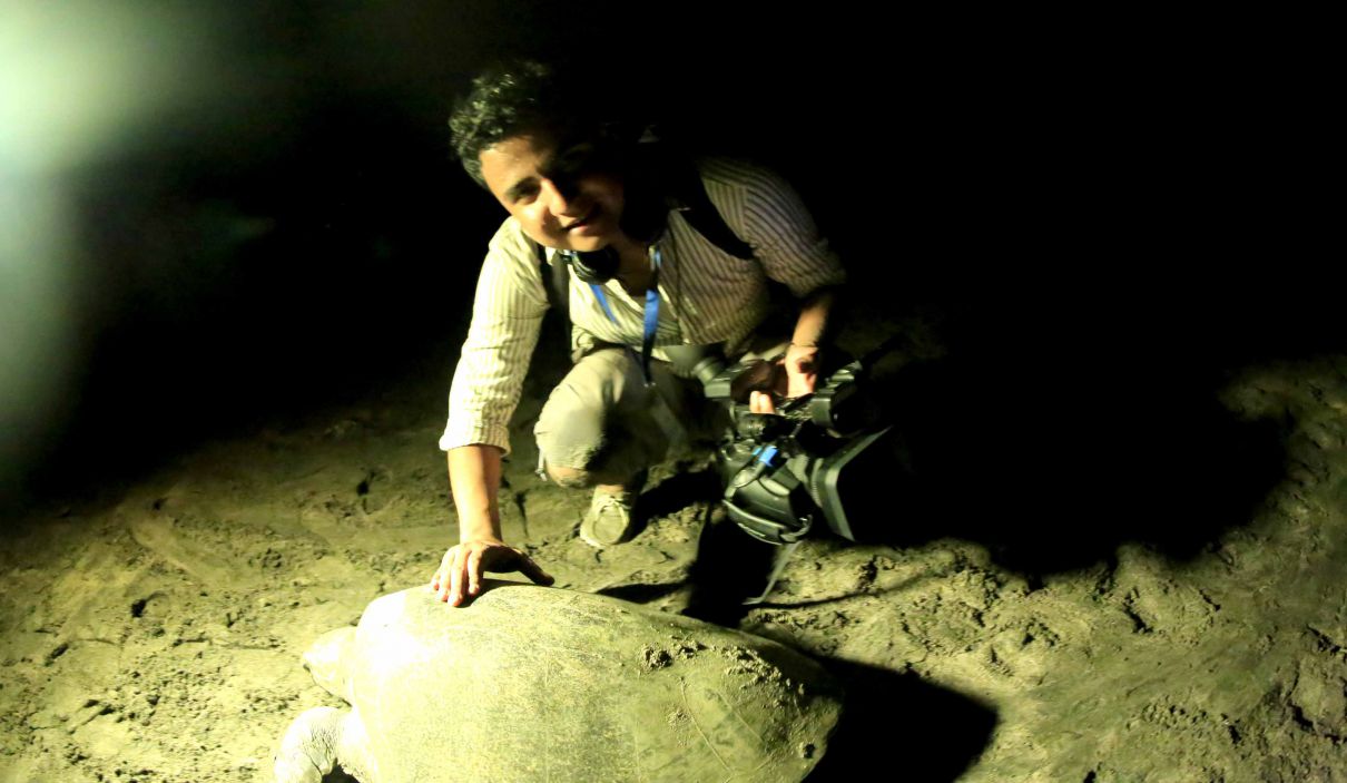 Desove de tortugas en Chacocente, un espectáculo de la naturaleza