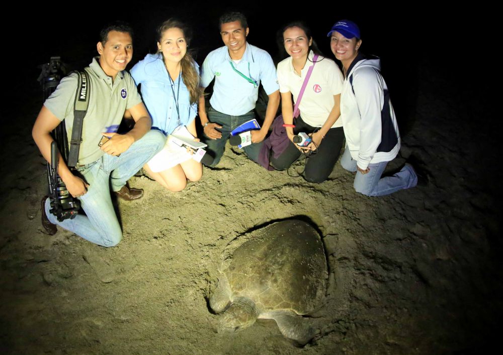Desove de tortugas en Chacocente, un espectáculo de la naturaleza