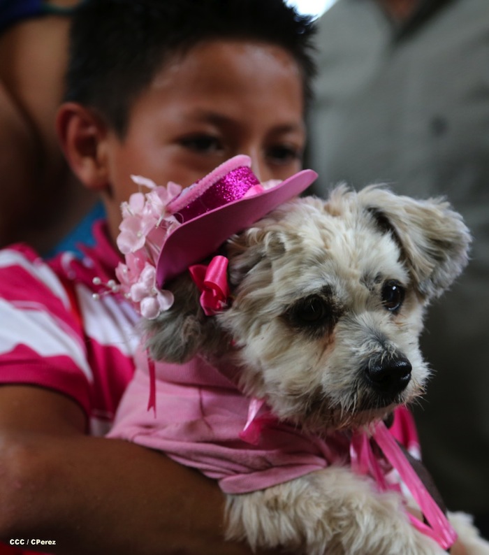 Fiesta de San Lázaro en Masaya
