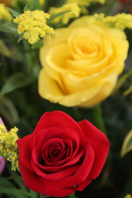 Cardenal Brenes festeja a Virgen La Merced en Mateare