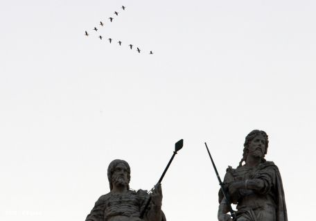 Papa Francisco Preside Vigilia de Oración en Preparación del Sínodo por la Familia