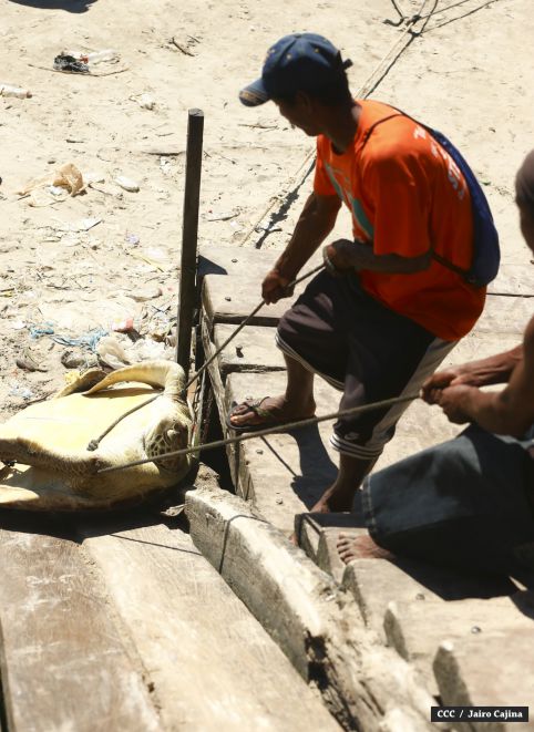 Población de Bilwi: “Gracias a Dios la tormenta se alejó”