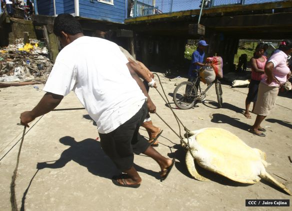 Población de Bilwi: “Gracias a Dios la tormenta se alejó”