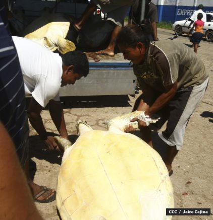 Población de Bilwi: “Gracias a Dios la tormenta se alejó”