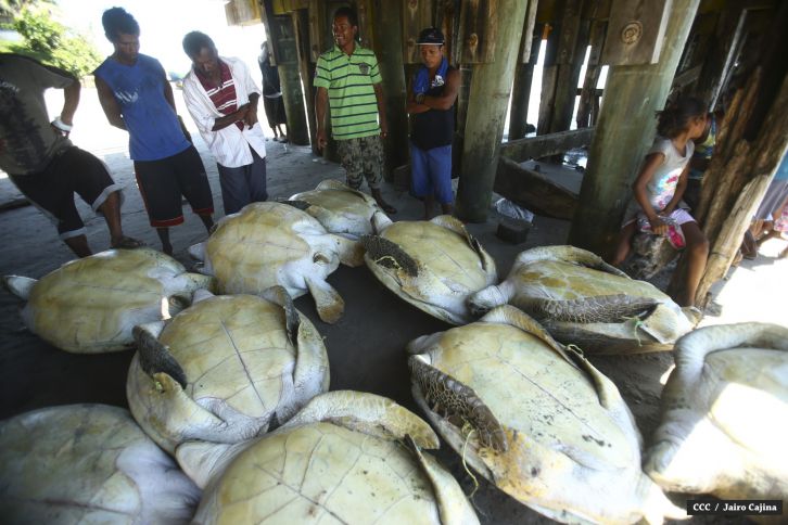 Población de Bilwi: “Gracias a Dios la tormenta se alejó”