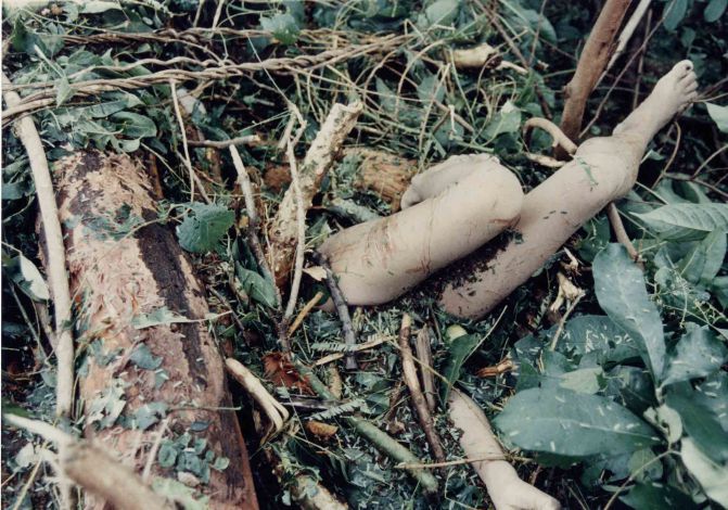 Se cumplen 16 años del deslave del Volcán Casita por el Huracán Mitch