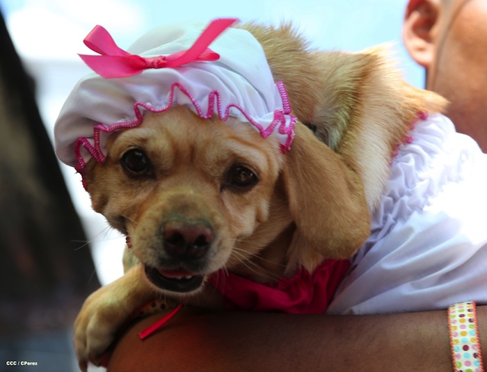 Fiesta de San Lázaro en Masaya