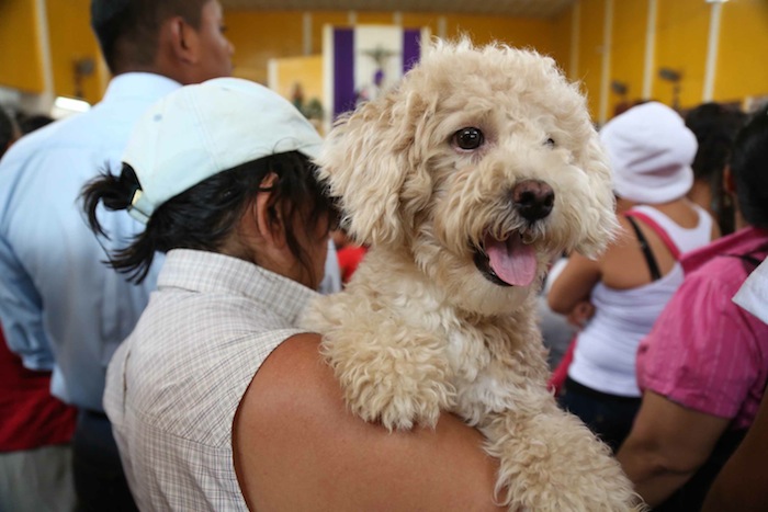 Fiesta de San Lázaro en Masaya