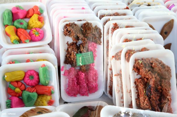 El tributo de los Masayas a la Inmaculada Concepción de María