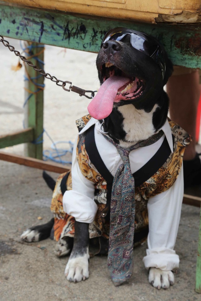 Fiesta de San Lázaro en Masaya