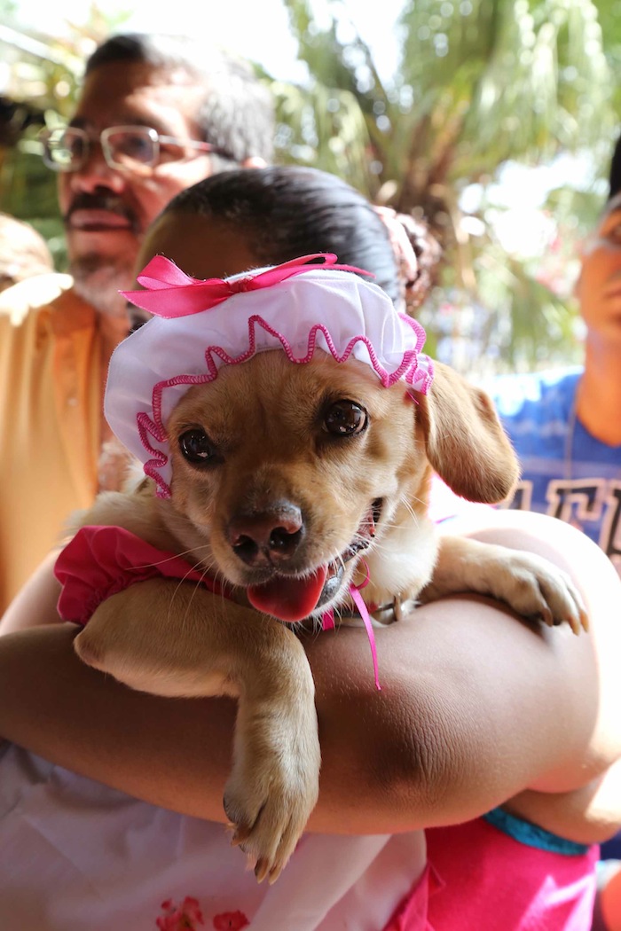 Fiesta de San Lázaro en Masaya