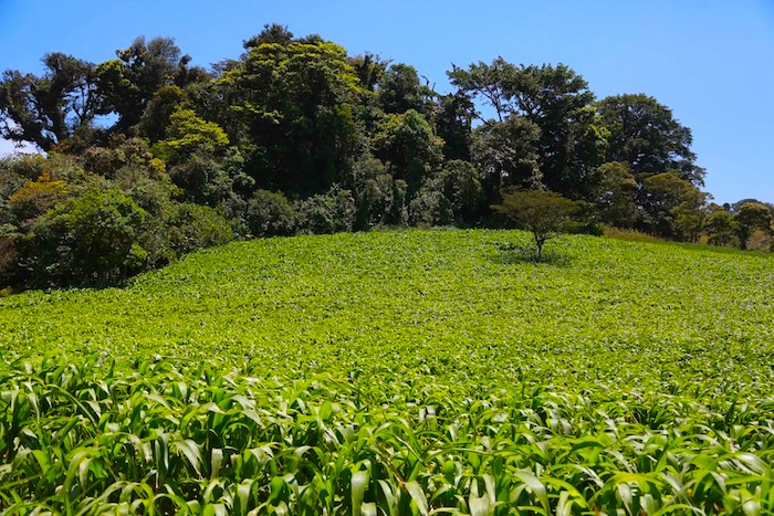 Reserva Miraflores (Estelí)