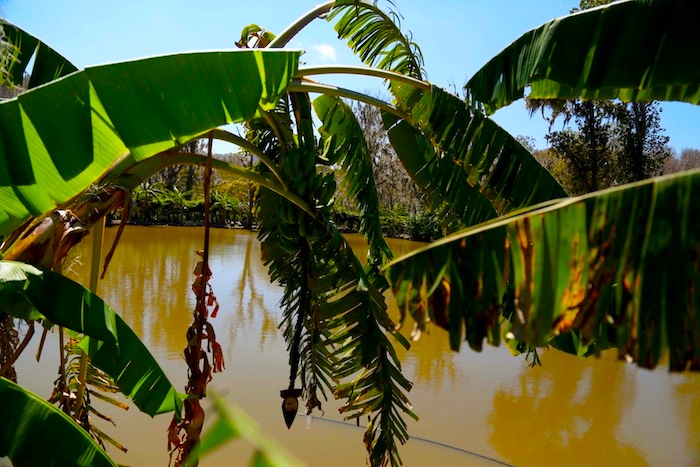 Reserva Miraflores (Estelí)