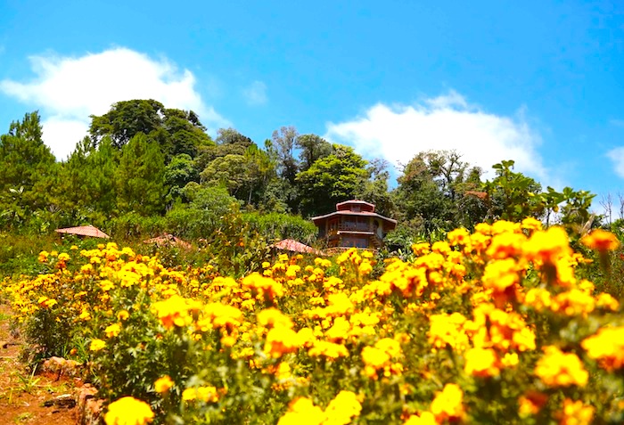 Reserva Miraflores (Estelí)