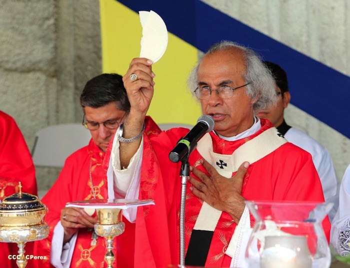 Iglesia Católica celebra el Jubileo Nacional de la Juventud Católica 2013