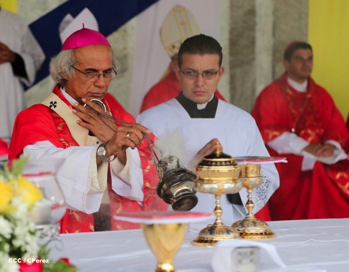 Iglesia Católica celebra el Jubileo Nacional de la Juventud Católica 2013