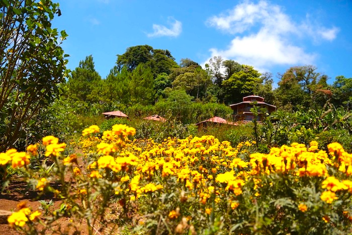 Reserva Miraflores (Estelí)