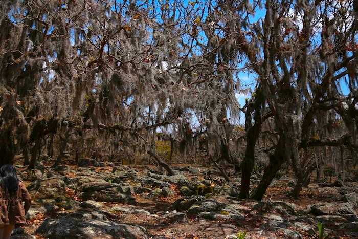 Reserva Miraflores (Estelí)