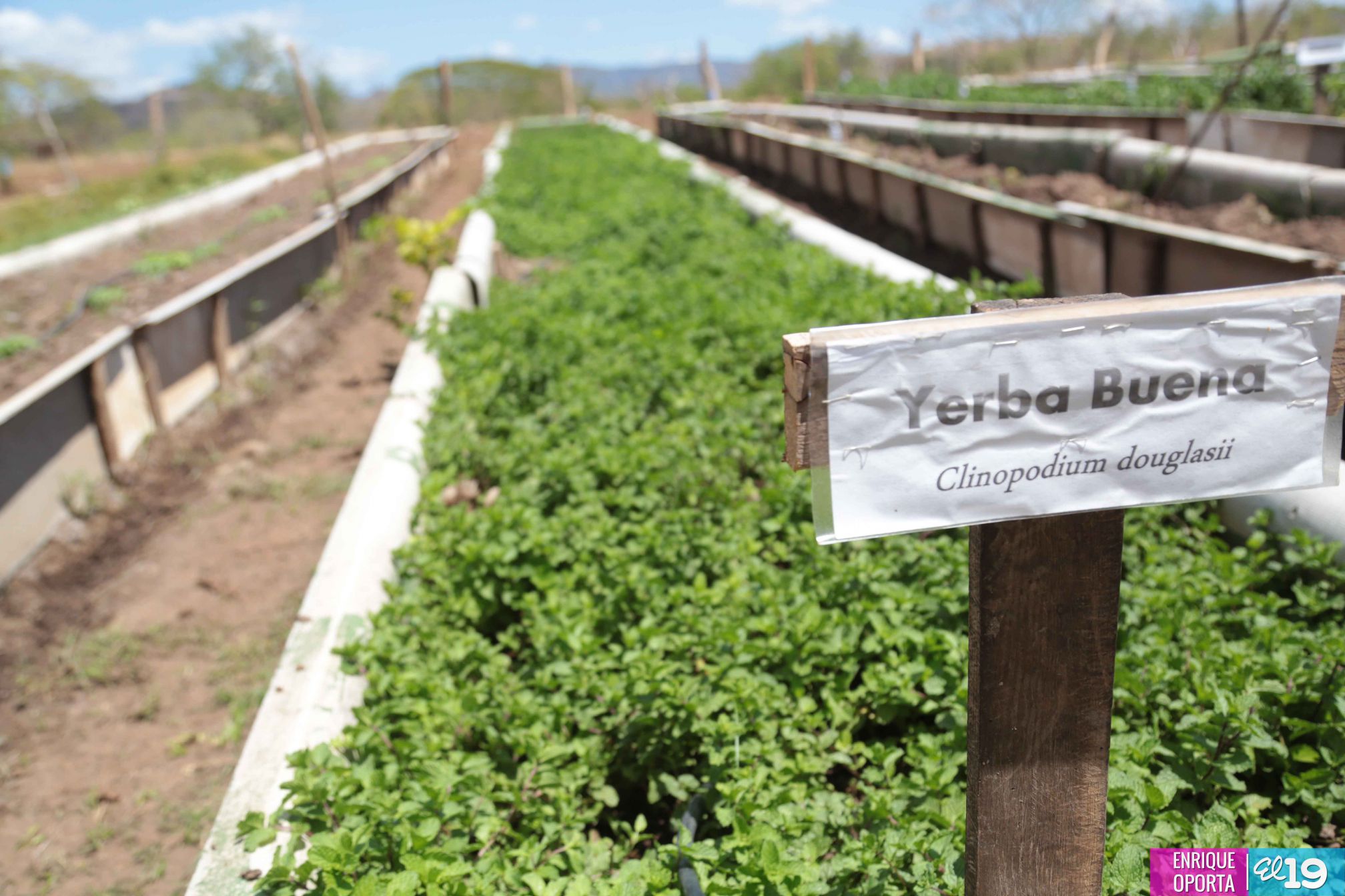 Tecnológico Germán Pomares, contribuyendo al desarrollo agropecuario