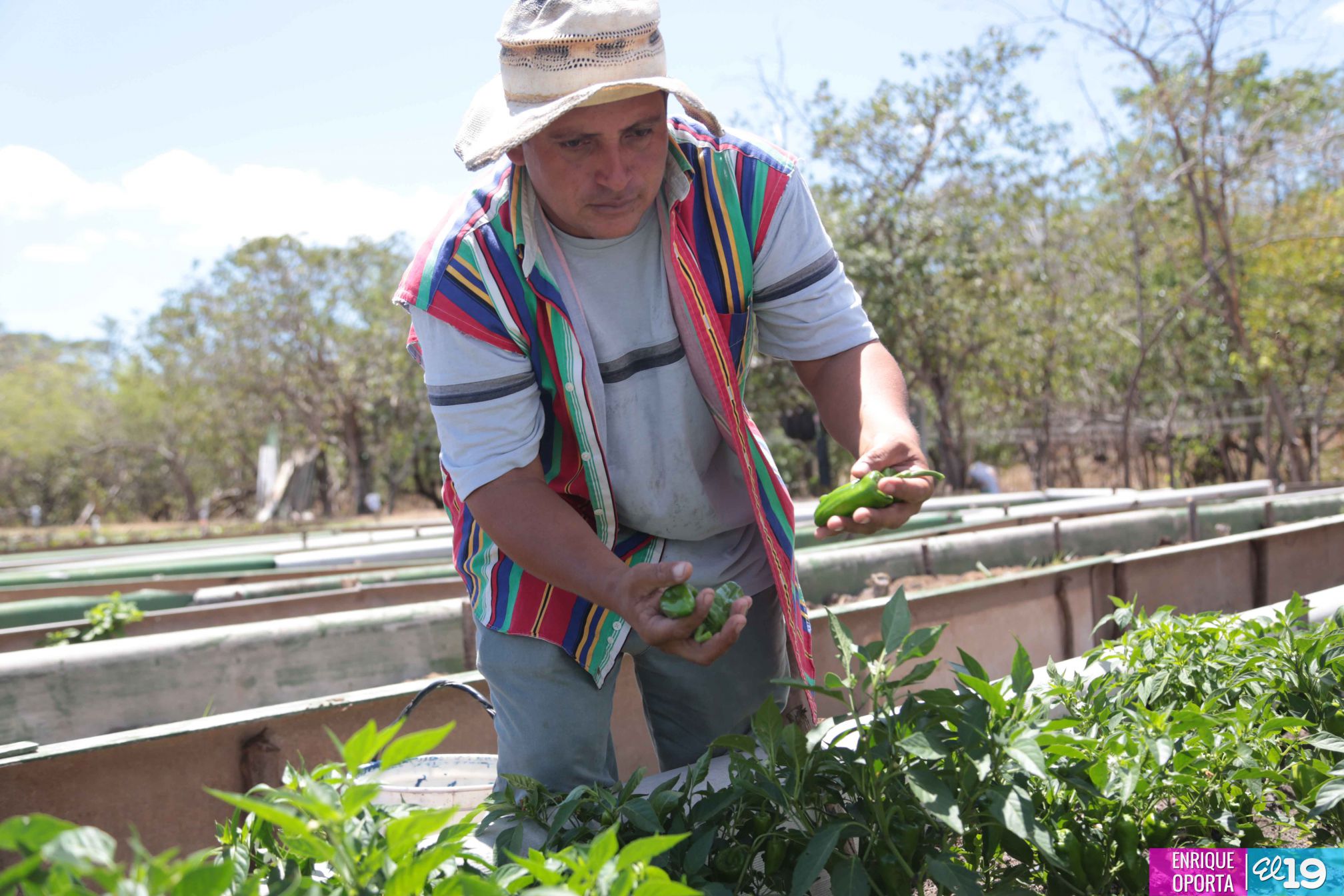 Tecnológico Germán Pomares, contribuyendo al desarrollo agropecuario