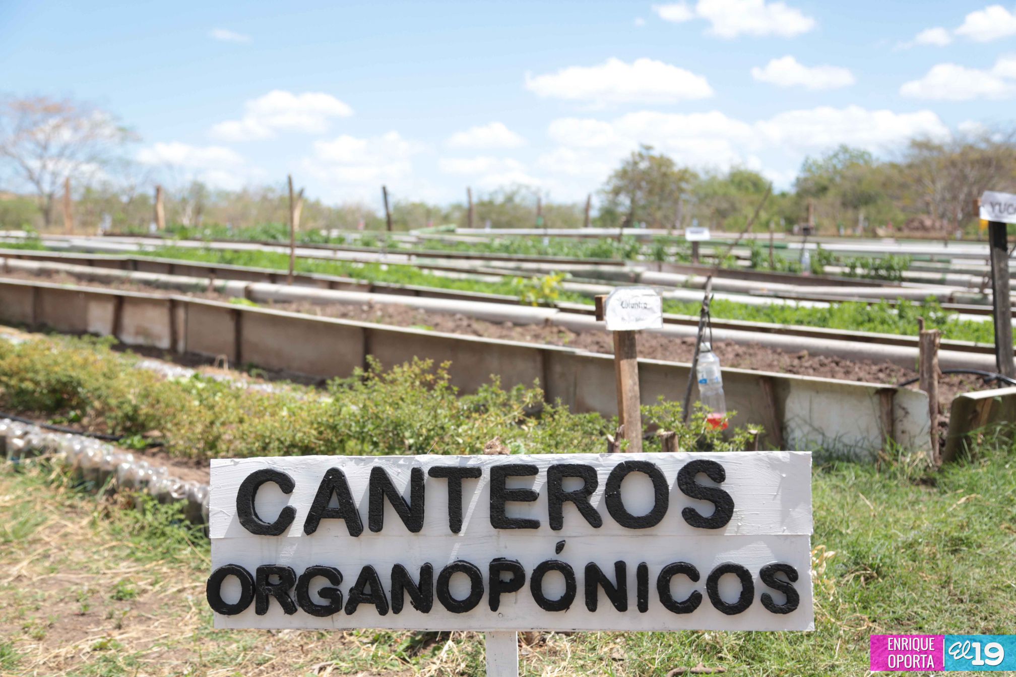 Tecnológico Germán Pomares, contribuyendo al desarrollo agropecuario