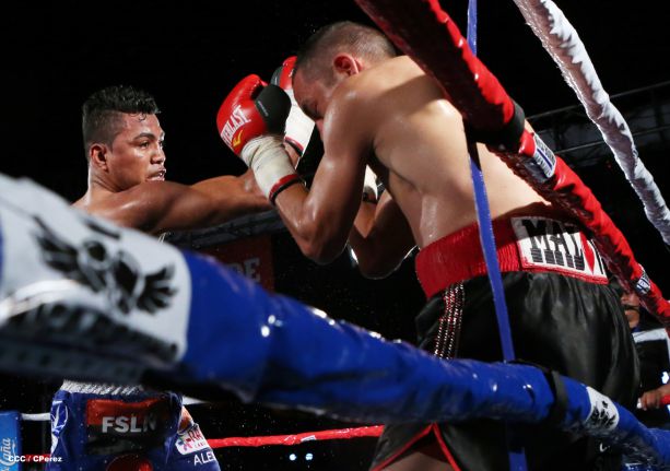 "Chocolatito" González noquea al mexicano Valentín León en Nicaragua 