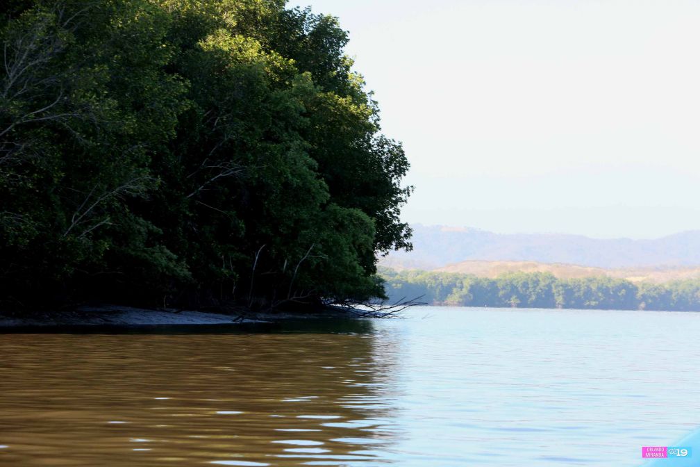 Gobierno y Comunidad trabajan en conservación de Reserva Natural Estero Real