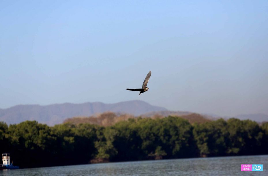 Gobierno y Comunidad trabajan en conservación de Reserva Natural Estero Real