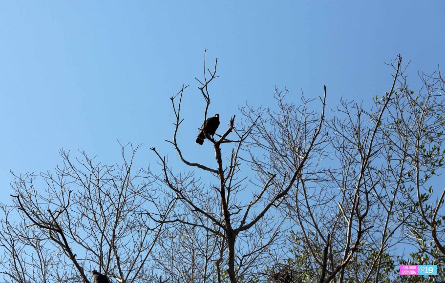 Gobierno y Comunidad trabajan en conservación de Reserva Natural Estero Real