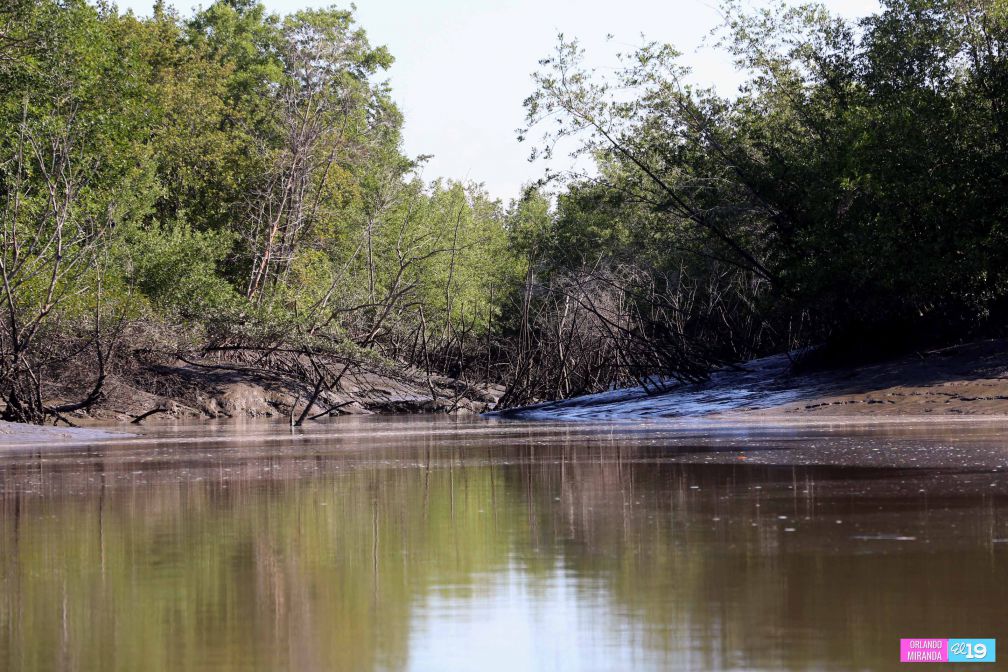 Gobierno y Comunidad trabajan en conservación de Reserva Natural Estero Real