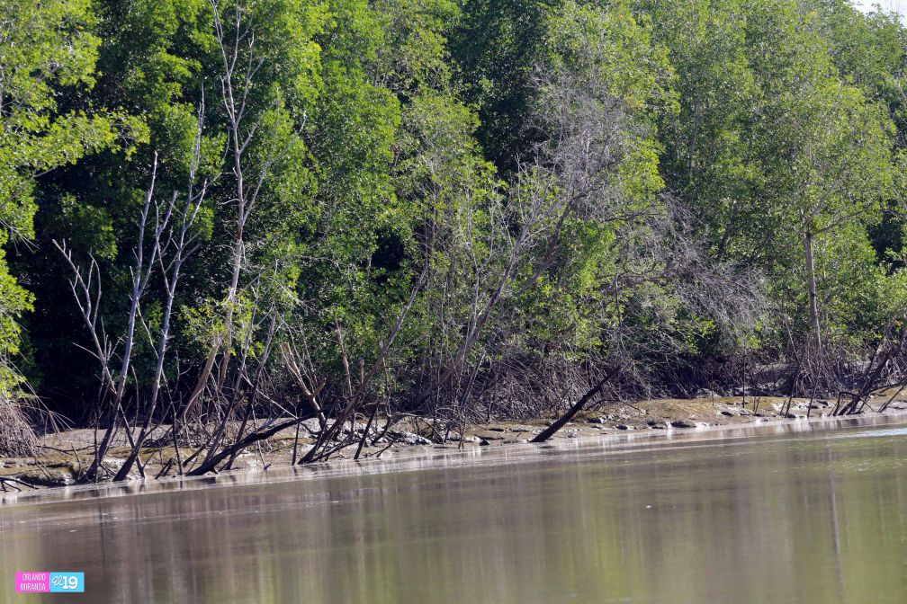 Gobierno y Comunidad trabajan en conservación de Reserva Natural Estero Real