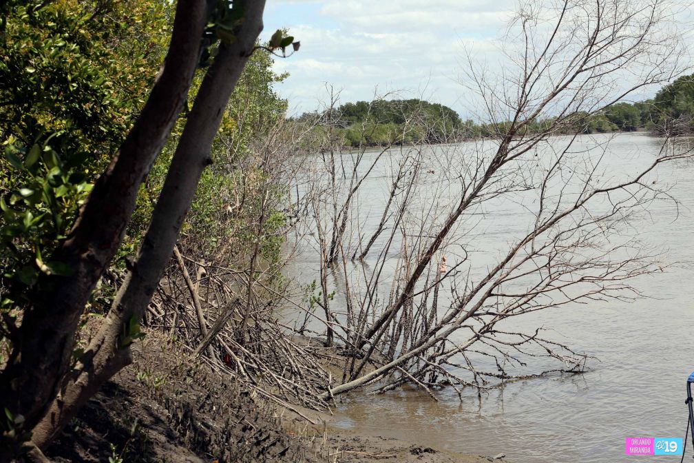 Gobierno y Comunidad trabajan en conservación de Reserva Natural Estero Real